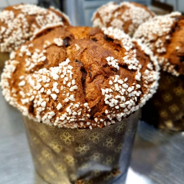 Panettone de chocolate